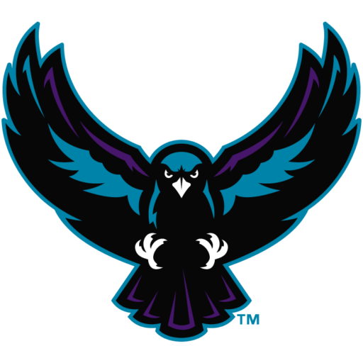 Rochester Knighthawks